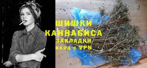 МДПВ Протвино
