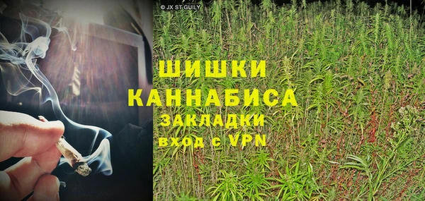 сатива Арсеньев