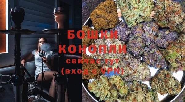 сатива Арсеньев