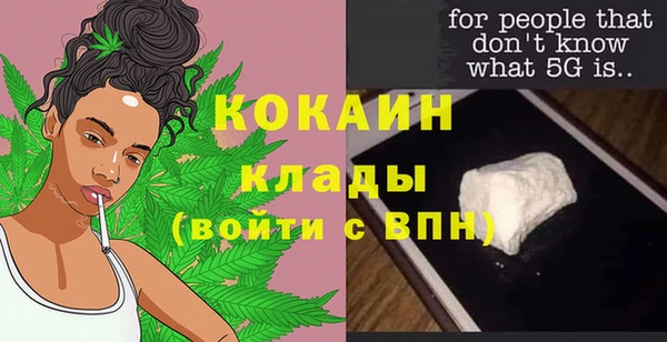 сатива Арсеньев