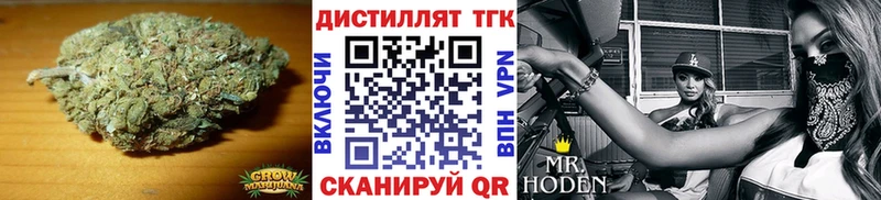 как найти наркотики  Мирный  гидра   ТГК концентрат 