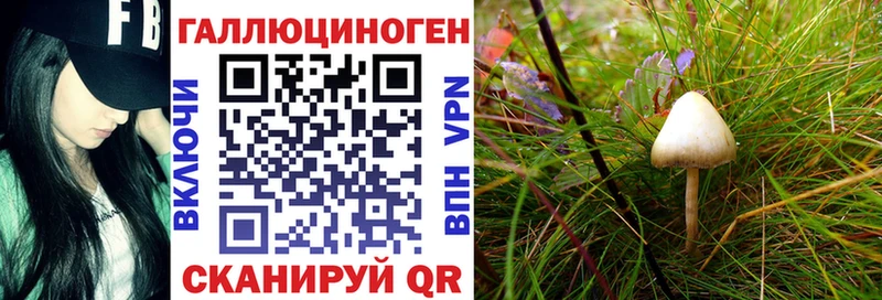 Галлюциногенные грибы мухоморы  Мирный 
